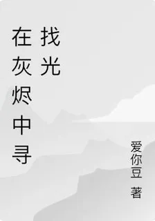 在灰燼中尋找光 封面