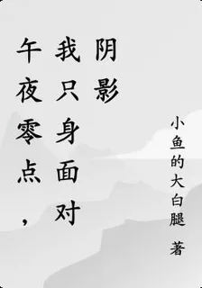 午夜零點，我只身面對陰影 封面
