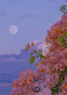 悸動藏心底 封面