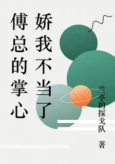 傅總的掌心嬌我不當了 封面