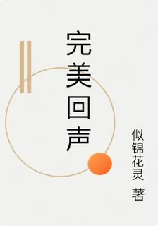 完美回聲 封面