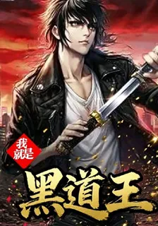 我就是黑道王 封面