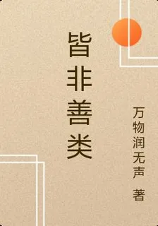 皆非善類 封面