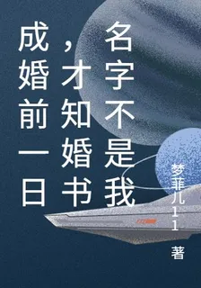 成婚前一日，才知婚書名字不是我 封面