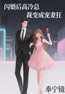 閃婚後高冷總裁變成寵妻狂 封面