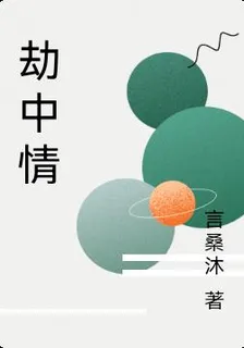 劫中情 封面