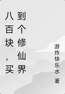 八百塊，買到個修仙界 封面