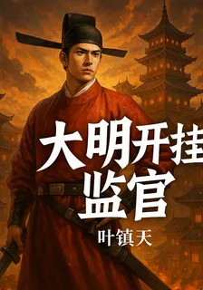 大明開掛監管 封面