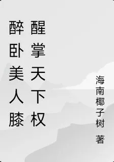 醉臥美人膝醒掌天下權 封面