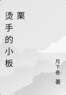 我的小板栗 封面