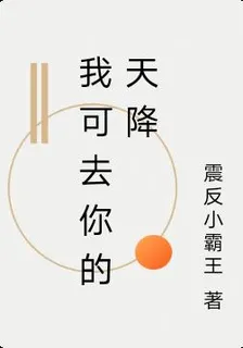 我可去你的天降 封面
