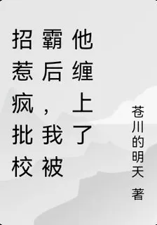 招惹瘋批校霸後，我被他纏上了 封面