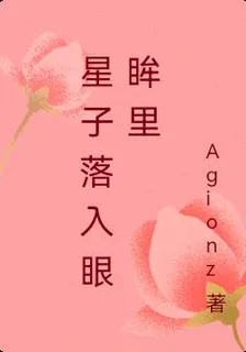 星子落入眼眸裏 封面