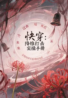 快穿：降維打擊實操手冊 封面