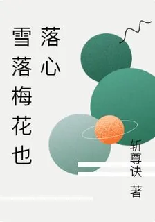 雪落梅花也落心 封面