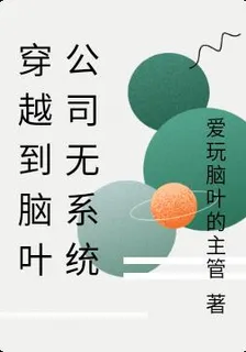 穿越到腦葉公司無系統 封面