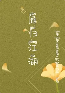 雁歸江湖 封面