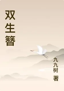 雙生簪 封面