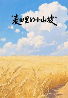 麥田裏的小山坡 封面
