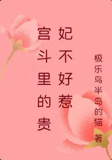 宮鬥裏的貴妃不好惹 封面