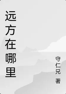 棲棲遠方 封面
