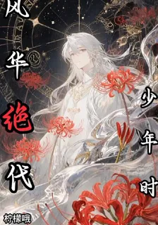 風華絕代少年時 封面