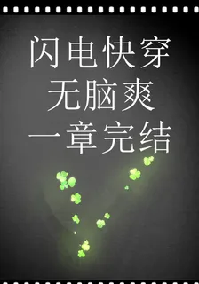 閃電快穿無腦爽一章完結 封面