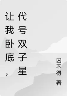 讓我臥底，代號雙子星 封面