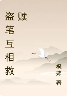 盜筆互相救贖 封面