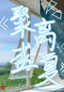 聚離盛夏 封面