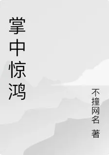 掌中驚鴻 封面