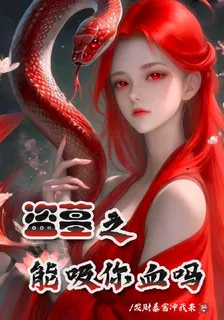 盜墓之我能吸你血嗎 封面