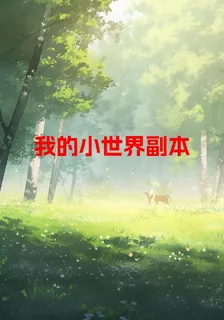 我的小世界副本 封面