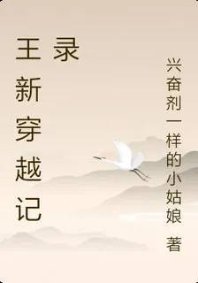王新穿越記錄 封面