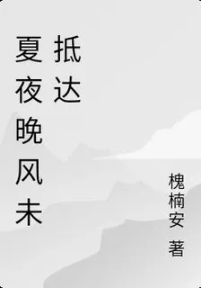 夏夜晚風未抵達 封面