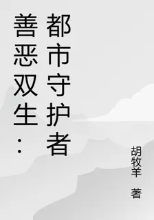 善惡雙生：都市守護者 封面