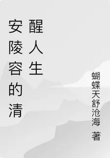 安陵容的清醒人生 封面