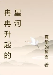 冉冉升起的星河 封面