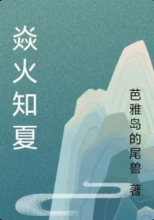 焱火知夏 封面