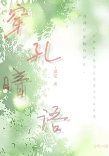 穿孔暗語 封面