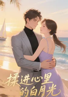揉進心裏的白月光 封面