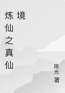 煉仙之真仙境 封面