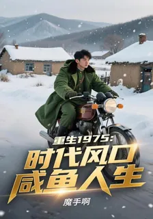 重生1975：時代風口鹹魚人生 封面