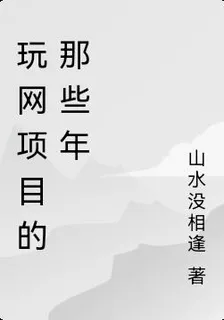 玩網項目的那些年 封面