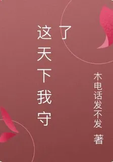 這天下我守了 封面