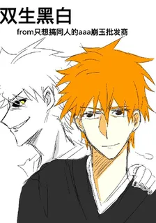 死神：雙生黑白 封面