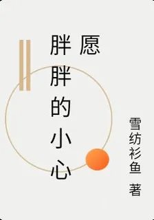 胖胖的小心願 封面