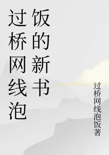 過橋網線泡飯的新書 封面