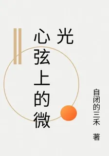 心絃上的微光 封面