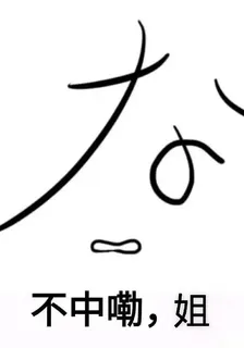 不中嘞，姐 封面